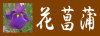 ����ō炭�ԏҊ��̕i����䗗�����܂�